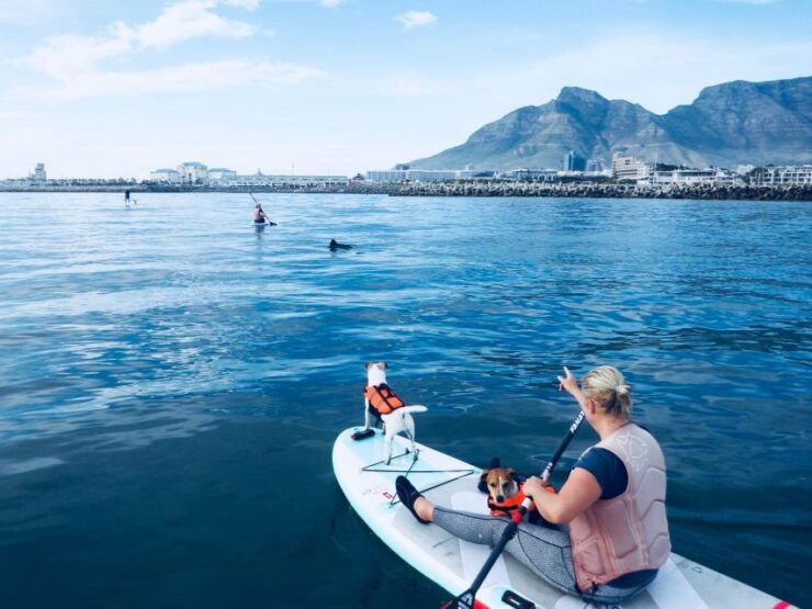 SUP Ocean Tour - Fitness and Environment