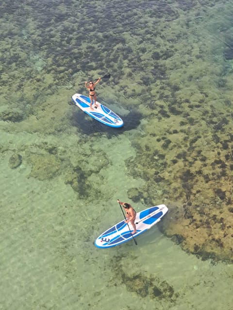 Sup Rental With a Local - Good To Know