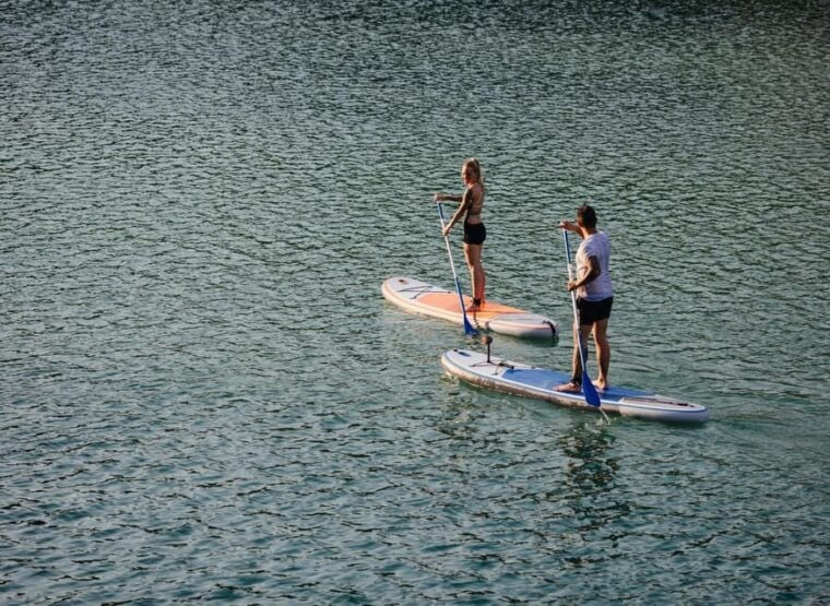 SUP Safari - Catamaran Cruise Dia Island & Gourmet Delights! - Who Should Book This Tour?