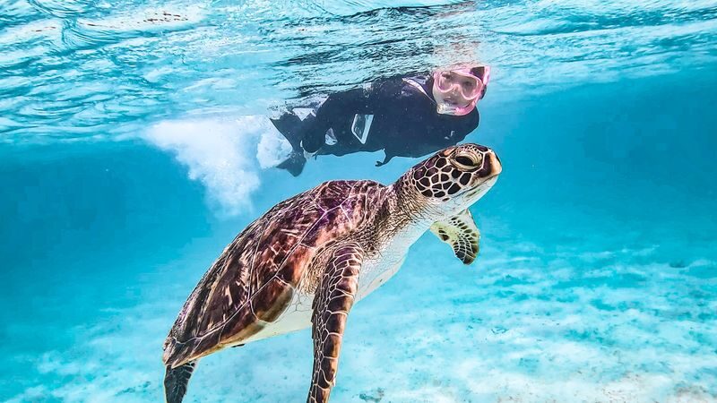 SUP & Sea Turtle Snorkeling (Miyako Island) - What each activity feels like