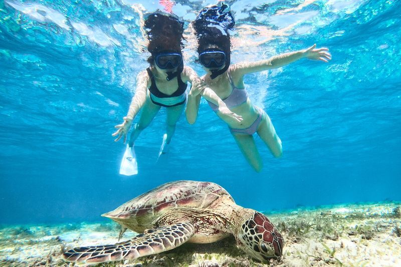 SUP & Sea Turtle Snorkeling (Miyako Island) - What the price includes, and what it does not