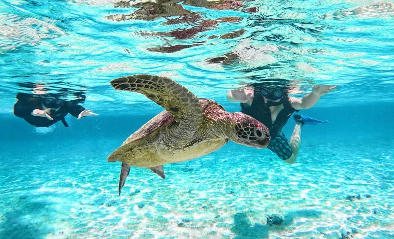 SUP & Sea Turtle Snorkeling (Miyako Island) - Who should book this Miyakojima tour?