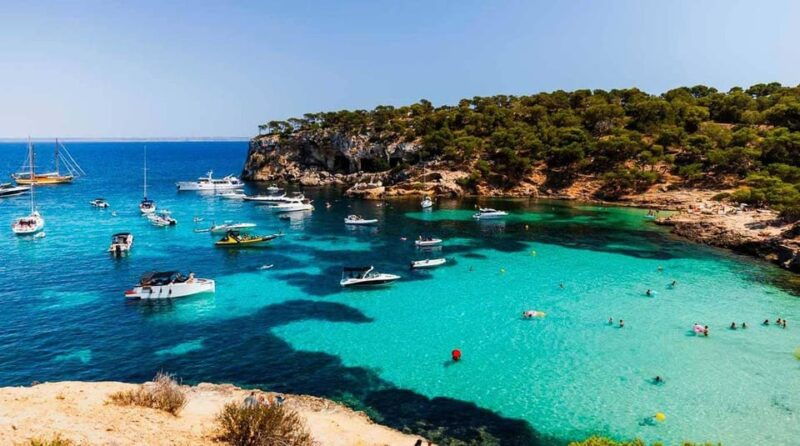 SUP & Snorkel Experience: Beach / Cave of Portal Vells - Itinerary and Activities