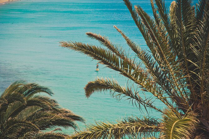 SUP Taster Course in the Picturesque Bay of Morro Jable - Overview