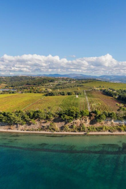 SUP Tour: Exploring Debeli Rtic Coastline - Highlights of the Experience
