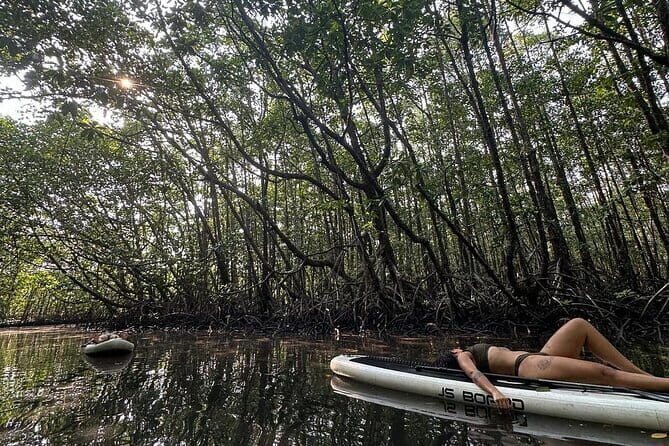 SUP Tour in Mangrove Forest of Koh Rong Sanloem - Why Choose the SUP Tour in Koh Rong Sanloem?