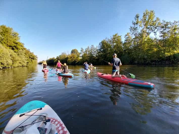 SUP Tour: View of the Esslingen Canals - Highlights of the Experience