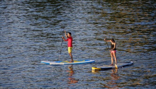 SUP Yoga (Stand-Up-Paddle Yoga) in Wiesbaden - Booking Information