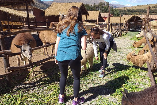 Super City Tour Cusco Full Day With Lunch - Meeting and Pickup