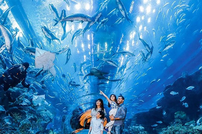 Super Combo - Importance of Product Code