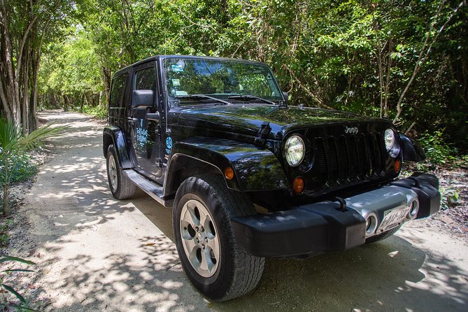 Super Cozumel Combo Snorkel by Boat and Jeep Exploration (Private) - Tour Experience