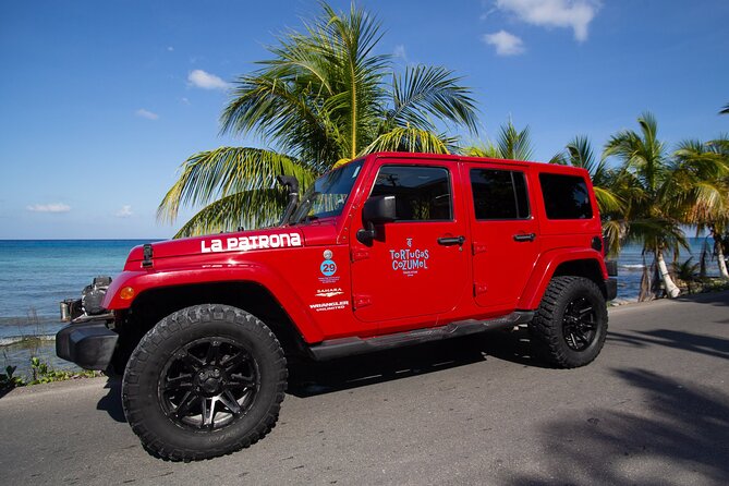 Super Cozumel Combo Snorkel by Boat and Jeep Exploration (Private) - Positive Feedback on Guides