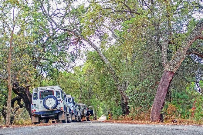 Super Day- Jeep Tour Arade River Cruise - Inclusions and Services
