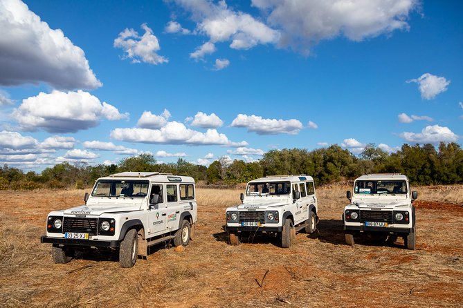 Super Day- Jeep Tour Arade River Cruise - Pricing and Additional Information