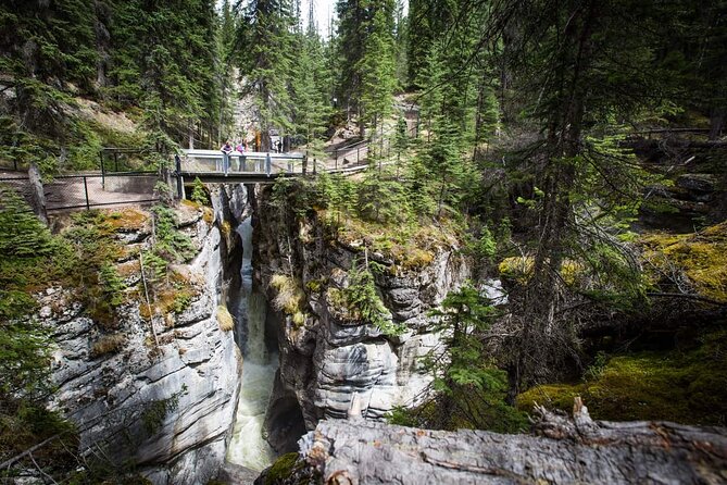 Super Deal! Canadian Rockies Visit Banff, Jasper and Yoho, 5-Days Tour - Pickup Details and Special Accommodations