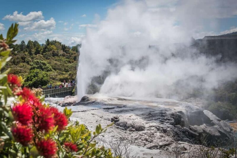 SUPER DEAL: Ruakuri Caves, Te Puia Rotorua & Blue Springs - The Sum Up