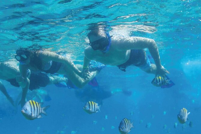 Super Fun Speedboat Adventure Tour in the Cancun Sea With Snorkel - Reviews and Ratings of the Tour