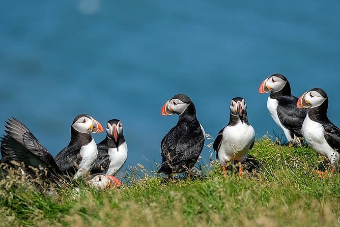 Super Jeep Tour South Coast Waterfalls and Black Sand Beach - Tour Highlights