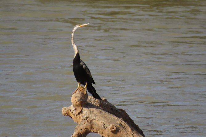 Super Luxury Jeep Safari at Yala National Park - Is This Safari Worth the Price?