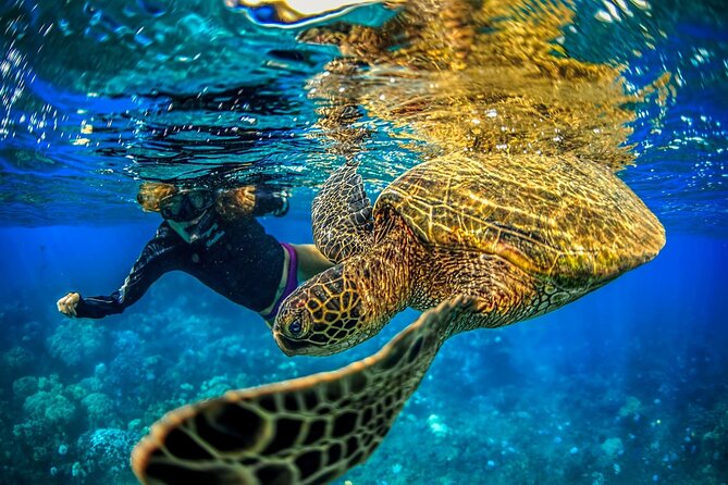 Super Raft - Private Charter Maui 3 Hour Snorkel to Coral Gardens or Molokini - Maui Snorkeling Experience With Super Raft