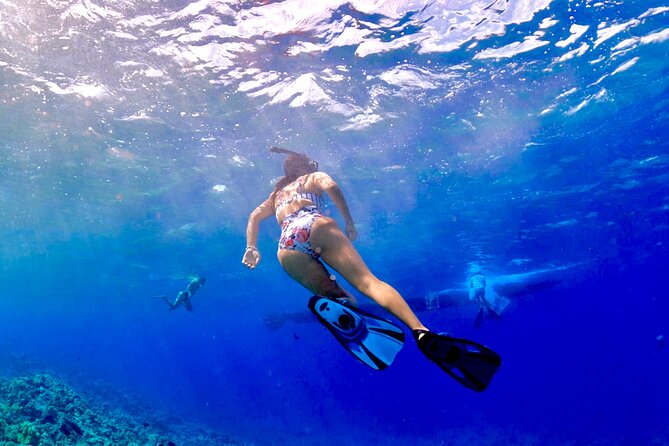 Super Raft - Private Charter Maui 3 Hour Snorkel to Coral Gardens or Molokini - The Sum Up