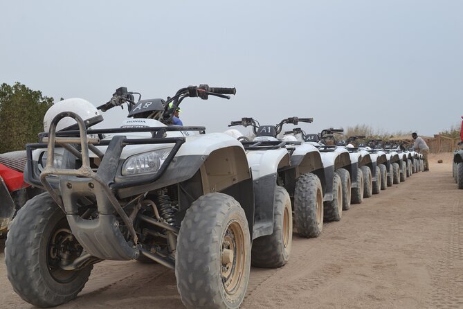 Super Safari ATV, Drive Buggy Car, Camel Ride, Bedouin Dinner, Show-Hurghada - Common Questions