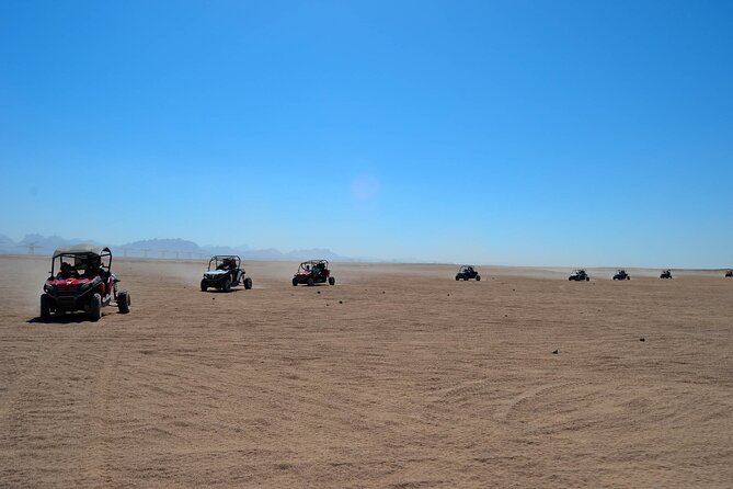 Super Safari ATV, Drive Buggy Car, Camel Ride, Bedouin Dinner, Show-Hurghada - Traveler Photos, Reviews, and Questions
