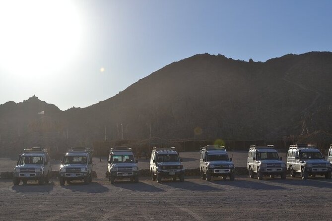 Super Safari ATV , Drive Buggy Car, Camel Ride, Dinner, Show-Hurghada - Inclusions and Exclusions