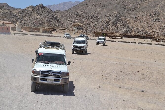 Super Safari ATV , Drive Buggy Car, Camel Ride, Dinner, Show-Hurghada - Tour Capacity and Restrictions