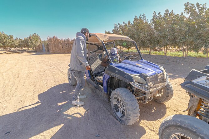 Super Safari ATV Quad, Buggy, Jeep, Camel and Dinner - Hurghada - Tour Highlights