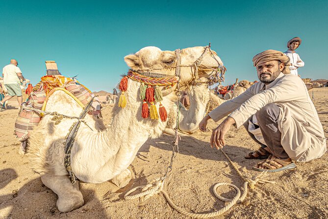 Super Safari ATV Quad, Buggy, Jeep, Camel and Dinner - Hurghada - Pricing and Inclusions