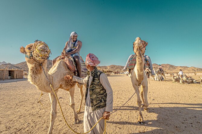 Super Safari ATV Quad, Buggy, Jeep, Camel and Dinner - Hurghada - Cancellation Policy