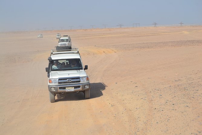 Super Safari - Inclusions