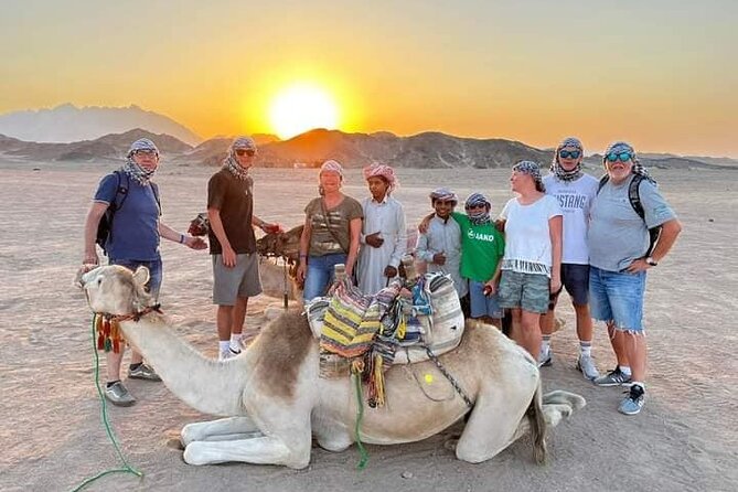Super Safari Hurghada : Camel Ride& Dinner & Quad Bike& Buggy Car - Inclusions and Exclusions