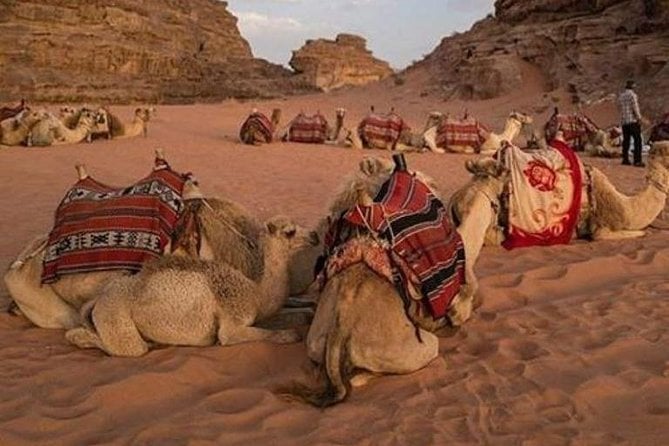 Super Safari Hurghada - Tour Overview