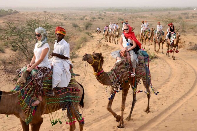 Super Safari&Camel Ride and ATV Quad With BBR Dinner in Hugharda - Booking Information