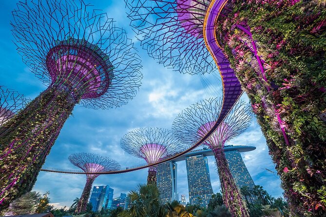 Superb Singapore Self-Guided Audio Tour - The Sum Up