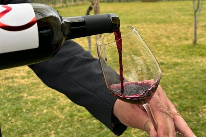 Superior Wine Tasting with Lunch on the slopes of Mt. Vesuvius - Good To Know