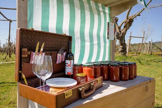 Superior Wine Tasting with Lunch on the slopes of Mt. Vesuvius - The Overall Atmosphere