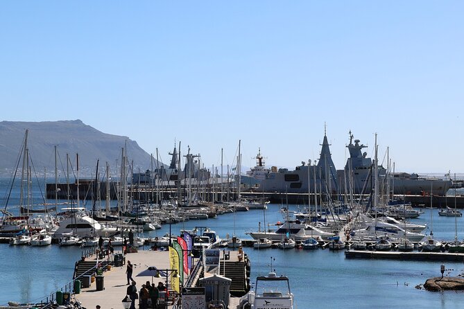 Supersaver: Cape of Good Hope and Cape Point Day Tour From Cape Town - Live Guide and Air-Conditioned Minivan With Fuel Included