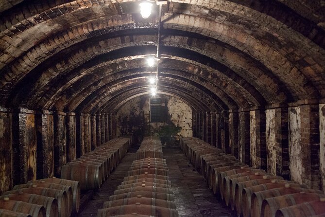 Supertuscan Wine Tour - Masterclass by a Wine Expert - Wine Expertise