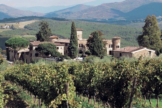 Supertuscan Wine Tour - Masterclass by a Wine Expert - Tour Duration and Group Size