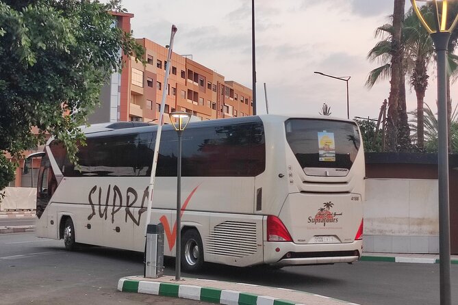 Supratour Bus Tickets Marrakech to Essaouira - Reviews