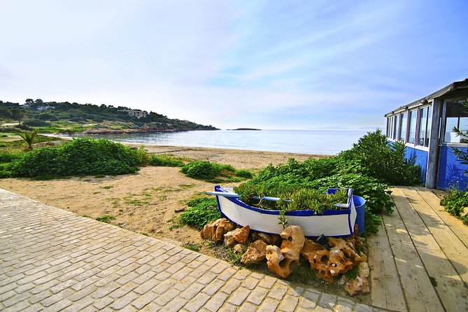 Supreme Cape Sounio and Temple of Poseidon Half Day Private Tour - Good To Know