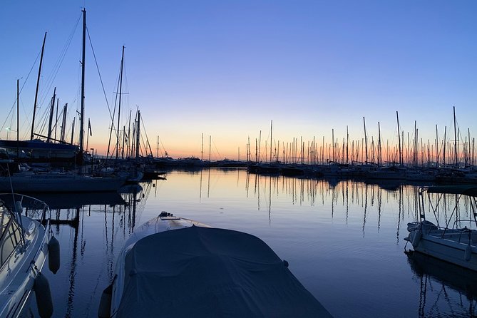 Supreme Cape Sounio and Temple of Poseidon Half Day Private Tour - Tour Features