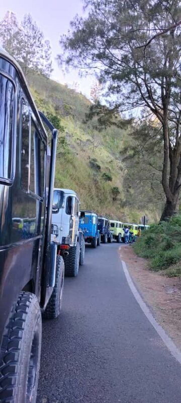 Surabaya : explore Bromo sunrise - Authentic Reviews & Insights