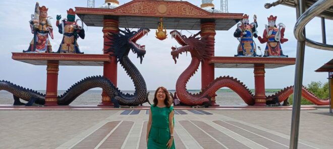 Surabaya Historiculture Private Day Tour - Tour Highlights