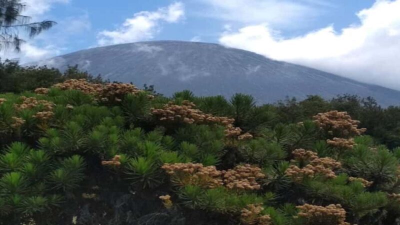 Surabaya/Malang: 3-Day Mount Semeru Trekking Adventure - Frequently Asked Questions