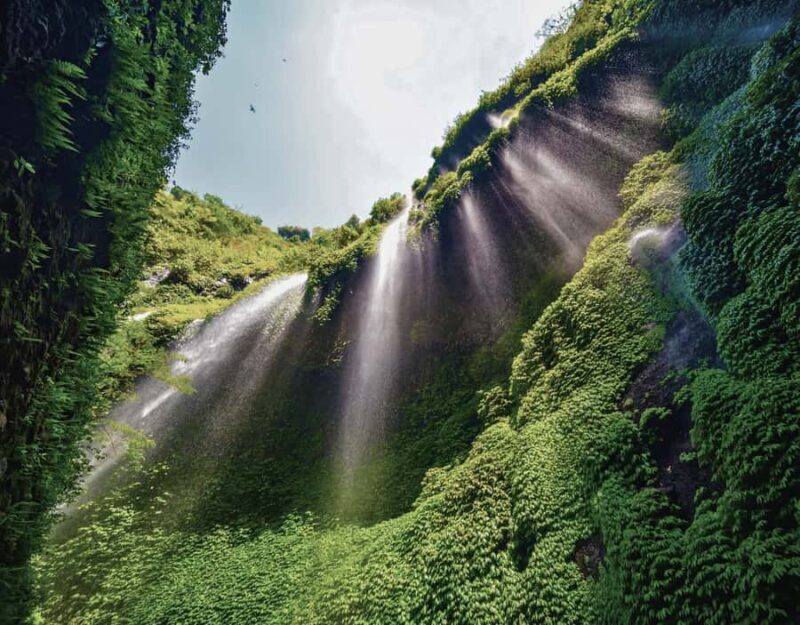 Surabaya: Mount Bromo National Park Private Full-Day Tour - Good To Know