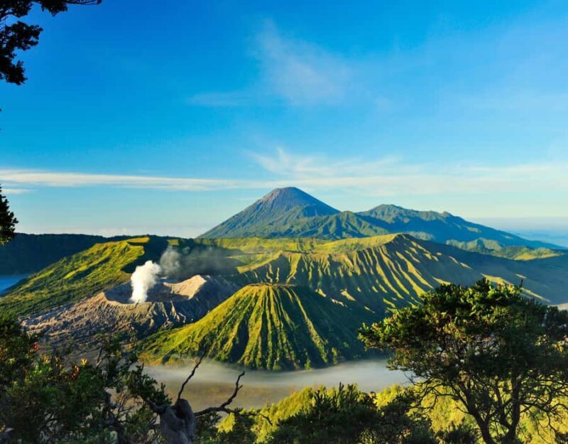 Surabaya: Mount Bromo National Park Private Full-Day Tour - Who Will Enjoy This Tour?